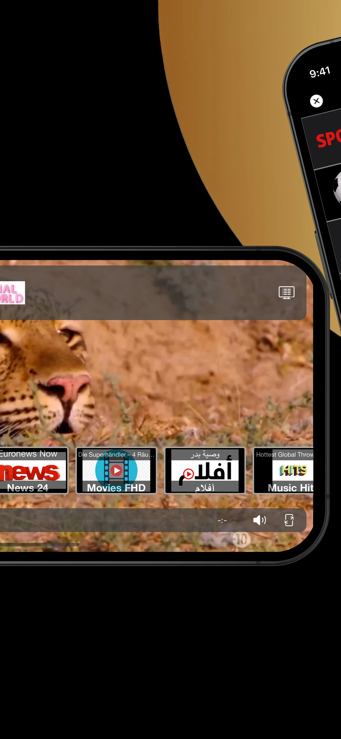 IPTV Streamer screenshot