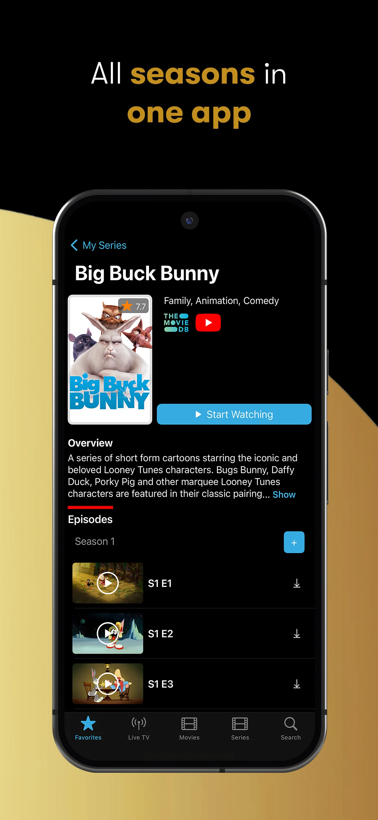 IPTV Streamer screenshot