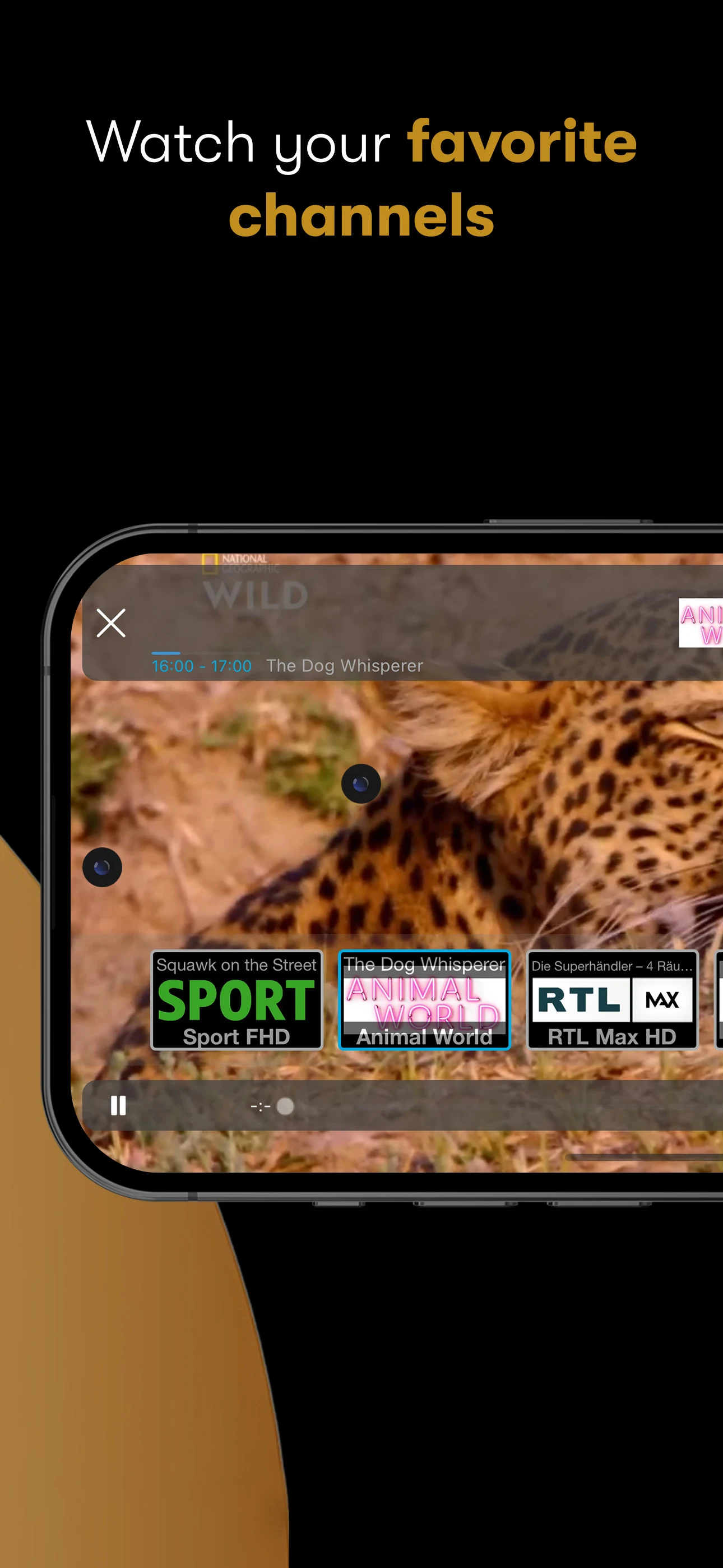 IPTV Streamer screenshot