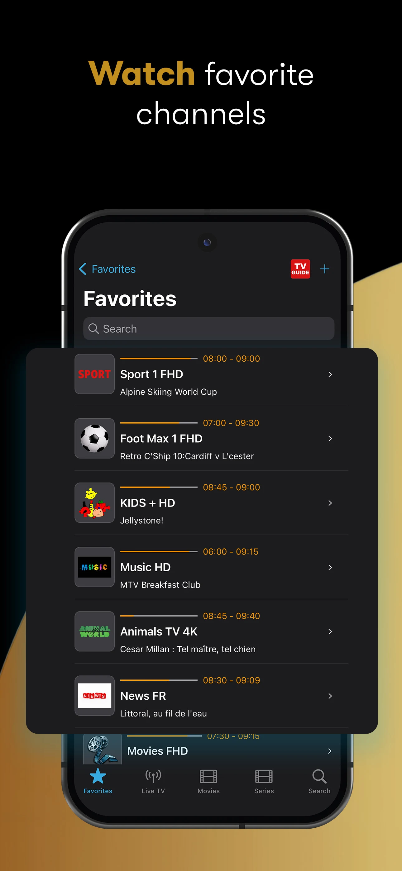 IPTV Streamer screenshot